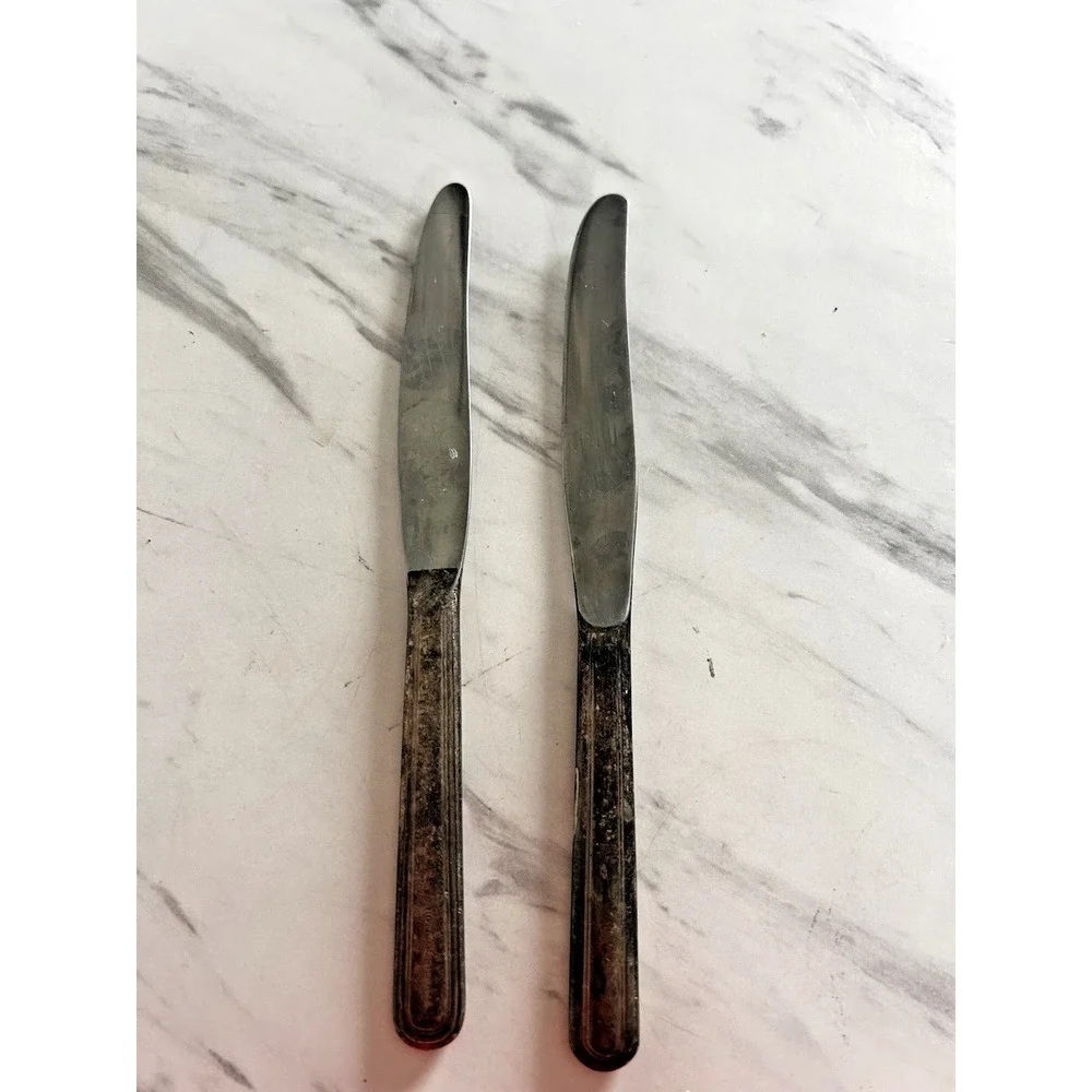 Vintage Dinner Knives Knife Hotel Vendome Boston MA Stainless Blades Lot of 2